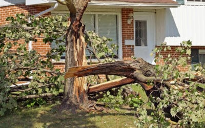House Damage Caused by High Winds and How You can Prevent it